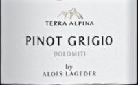 Alois Lageder - Pinot Grigio Terra Alpina 2024