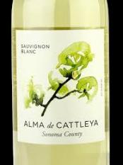 Alma De Cattleya -  Sauvignon Blanc 2022