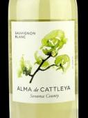 Alma De Cattleya -  Sauvignon Blanc 2023