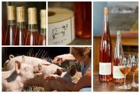 Big Table Farm - Laughing Pig Rose of Pinot Noir Willamette Valley 2022